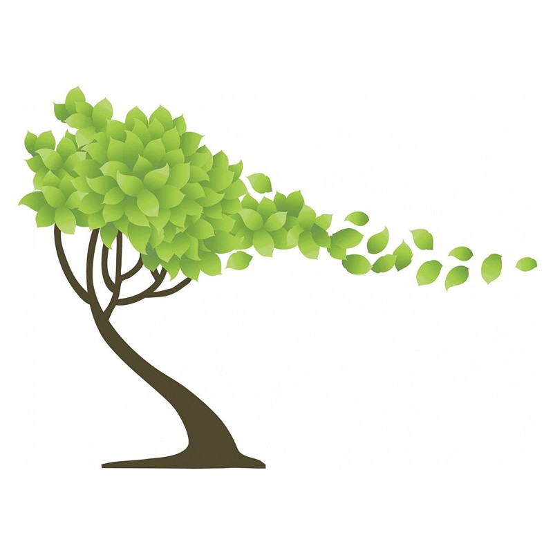 Crearreda Sticker Mural Arbre 220 X 300 Cm Vinyle  17 Pièces