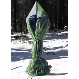Protection hivernale pour plantes pyramide (Idéal palmiers)