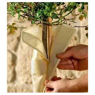 Housse de protection hivernale pour tiges T-hermoplus spécial fruitiers