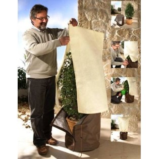 Protection hivernale pour plantes individuelles