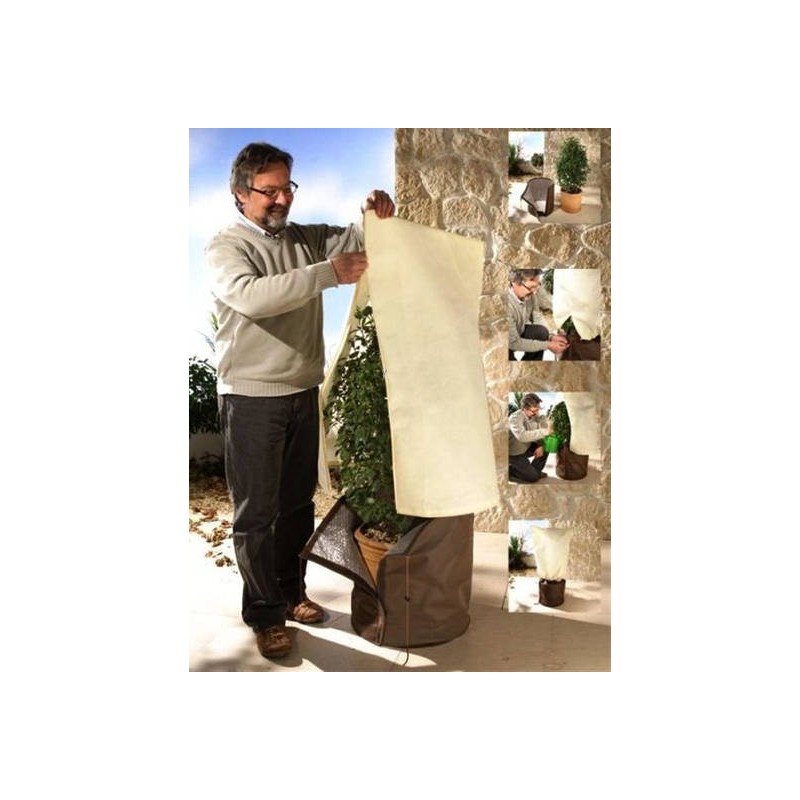 Protection hivernale pour plantes individuelles