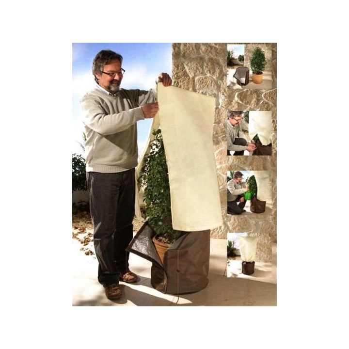 Protection hivernale pour plantes individuelles