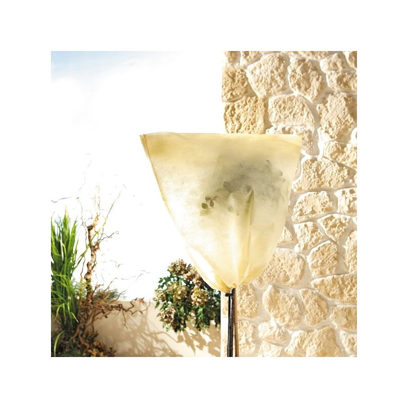 Protection hivernale pour plantes individuelles