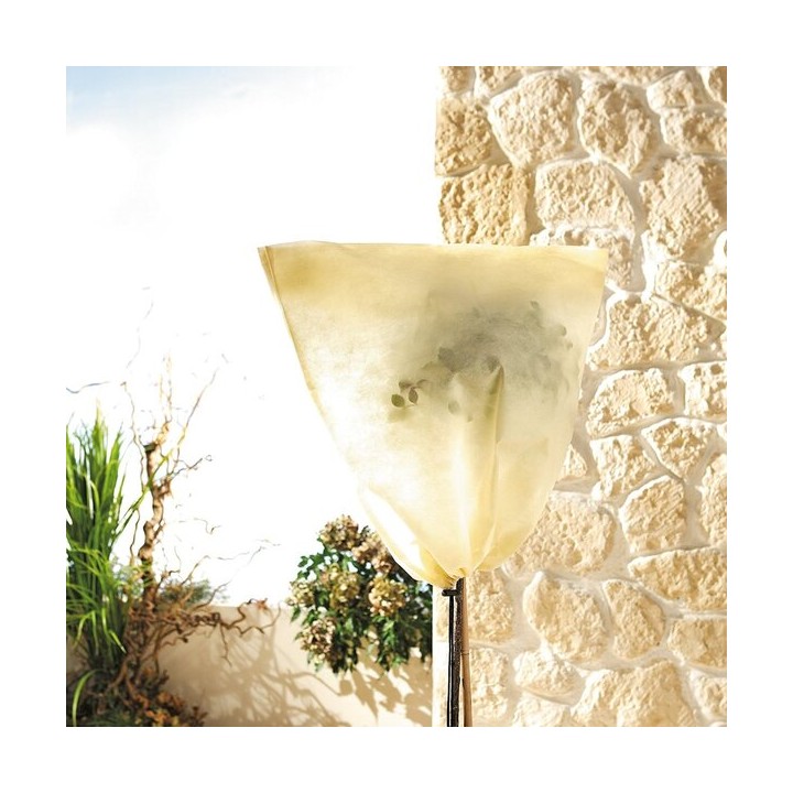Protection hivernale pour plantes individuelles