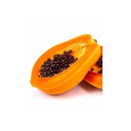 Papayer : Carica papaya var. Caballero