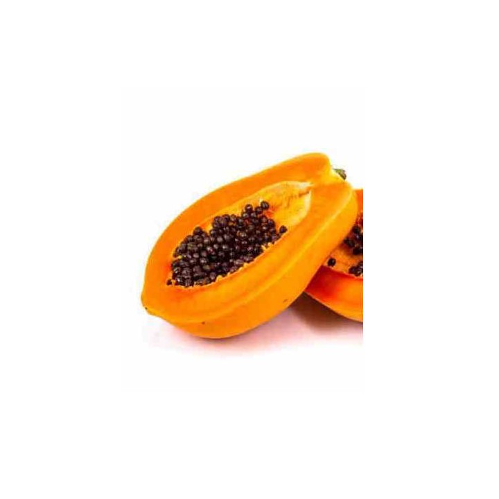 Papayer : Carica papaya var. Caballero