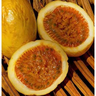 Passiflora edulis var. flavicarpa (Fruit de la passion (Grenadille jaune))