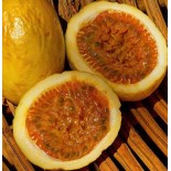 Passiflora edulis var. flavicarpa (Fruit de la passion (Grenadille jaune))