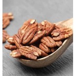 Carya illinoinensis (noix de noix de pécan, pacanier)