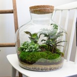 Urbanjngl Diy Terrarium -  Fat Joe - ? 30 Cm