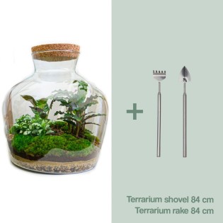 Urbanjngl Diy Terrarium -  Fat Joe - ? 30 Cm