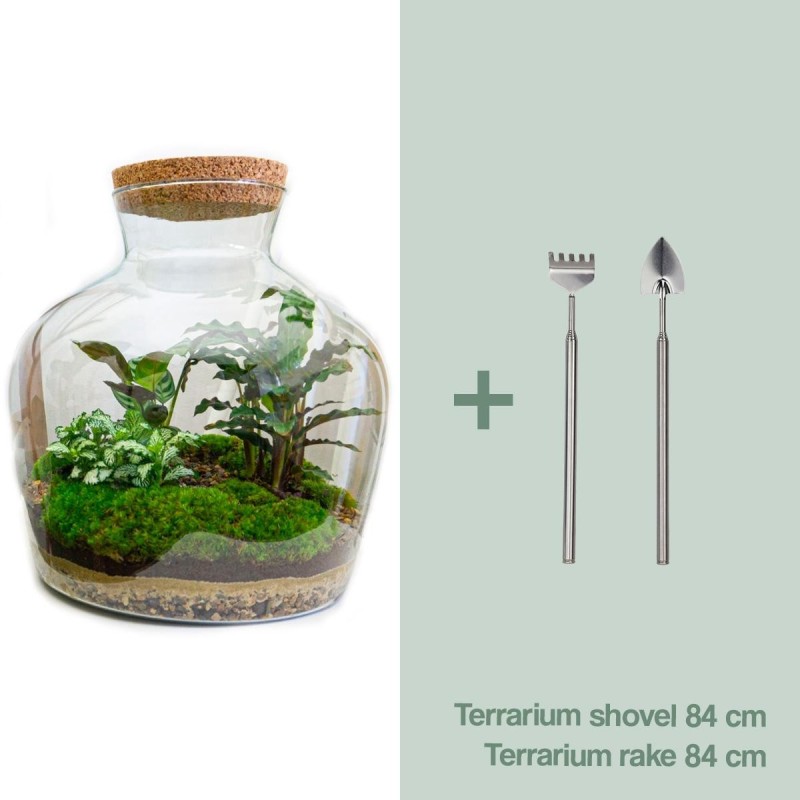 Urbanjngl Diy Terrarium -  Fat Joe - ? 30 Cm