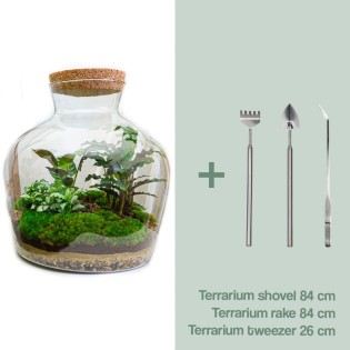 Urbanjngl Diy Terrarium -  Fat Joe - ? 30 Cm