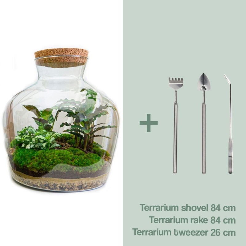 Urbanjngl Diy Terrarium -  Fat Joe - ? 30 Cm