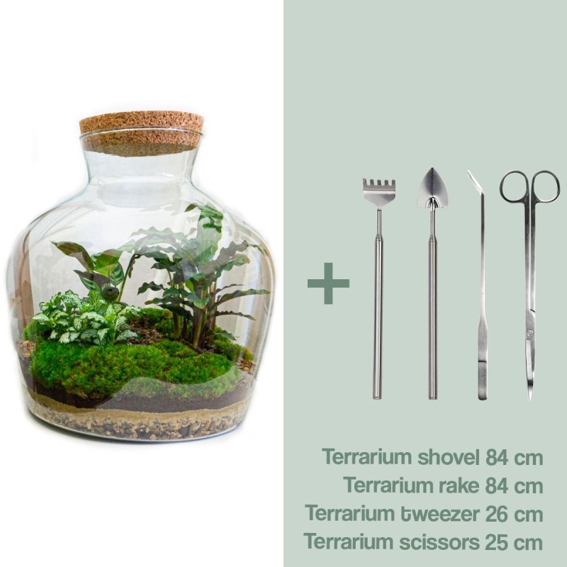 Urbanjngl Diy Terrarium -  Fat Joe - ? 30 Cm