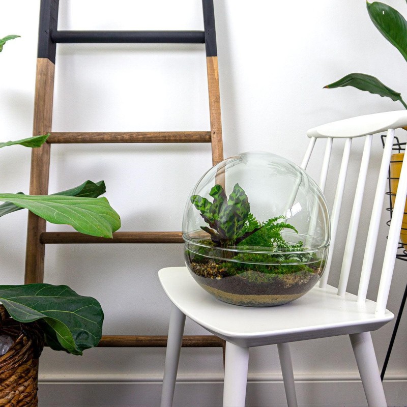 Urbanjngl Diy Terrarium - Dome Xl - ? 30 Cm