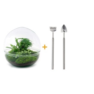 Urbanjngl Diy Terrarium - Dome Xl - ? 30 Cm