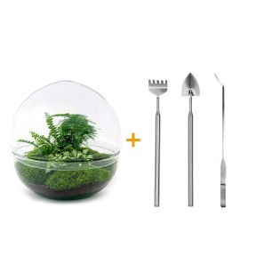 Urbanjngl Diy Terrarium - Dome Xl - ? 30 Cm