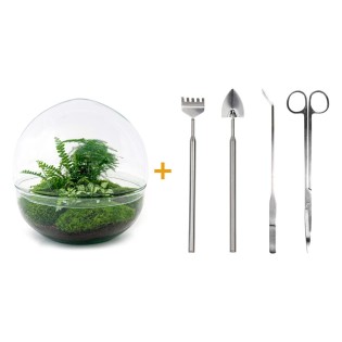 Urbanjngl Diy Terrarium - Dome Xl - ? 30 Cm