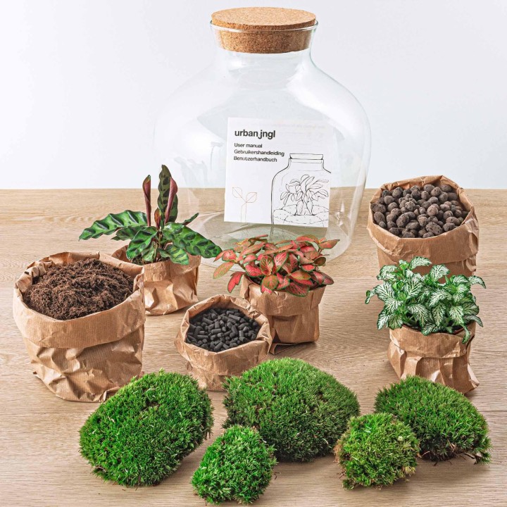 Urbanjngl Diy Terrarium - Fat Joe Red - ? 30 Cm