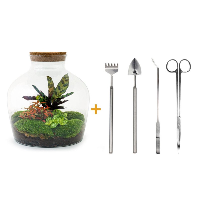Urbanjngl Diy Terrarium - Fat Joe Red - ? 30 Cm
