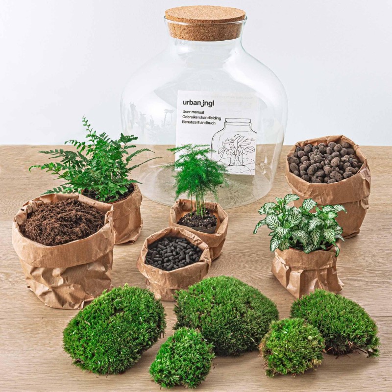 Urbanjngl Diy Terrarium - Fat Joe Green - ? 30 Cm