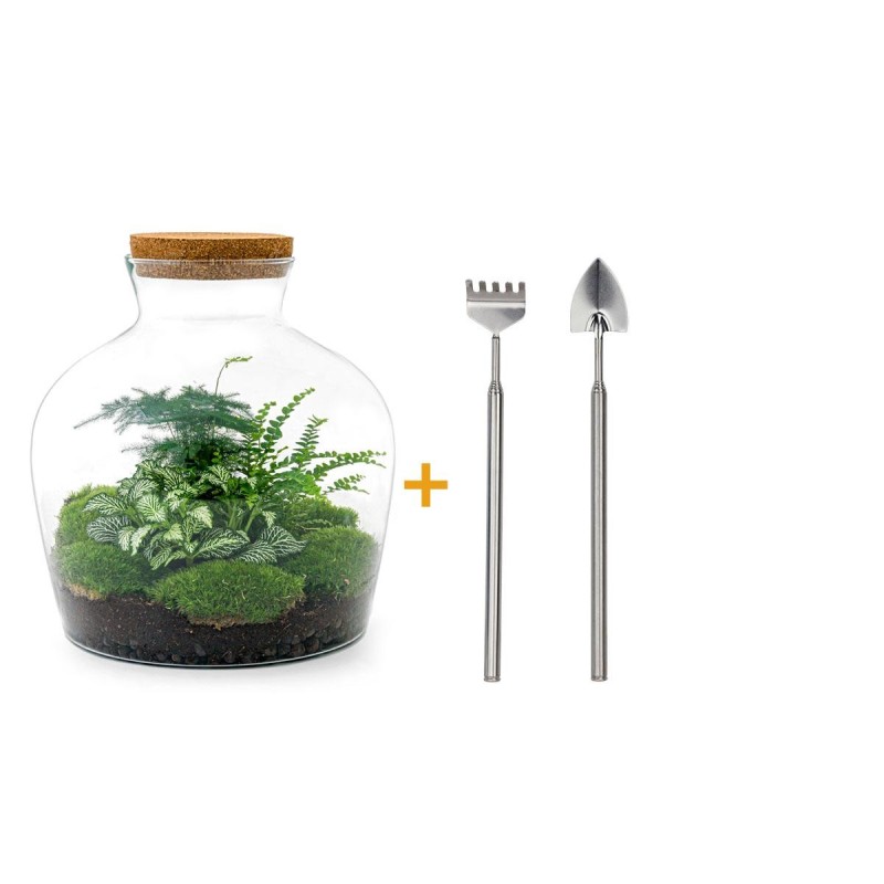 Urbanjngl Diy Terrarium - Fat Joe Green - ? 30 Cm