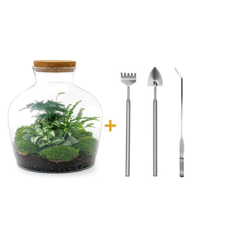 Urbanjngl Diy Terrarium - Fat Joe Green - ? 30 Cm