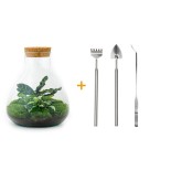 Urbanjngl Diy Terrarium - Sammie - ? 26 Cm