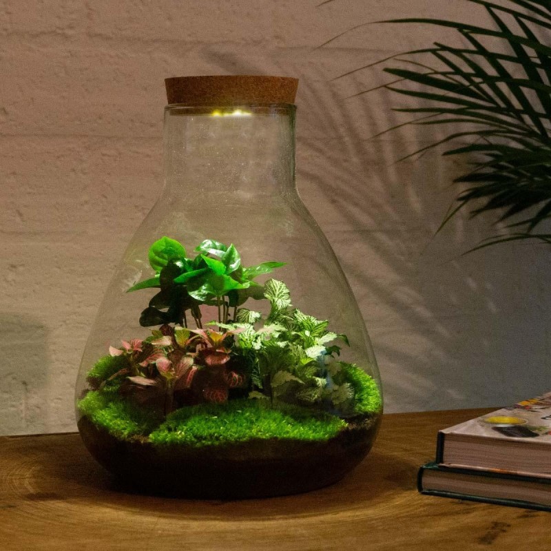 Urbanjngl Diy Terrarium - Sam With Light - ? 30 Cm