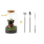 Urbanjngl Diy Terrarium - Milky Calathea Met Lamp - ? 31 Cm