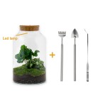 Urbanjngl Diy Terrarium - Milky Coffea With Light - ? 31 Cm