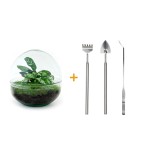 Urbanjngl Diy Terrarium - Dome - ? 20 Cm
