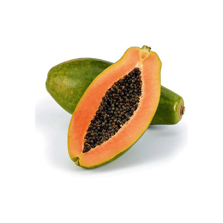 Papayer : Carica papaya var. caballero