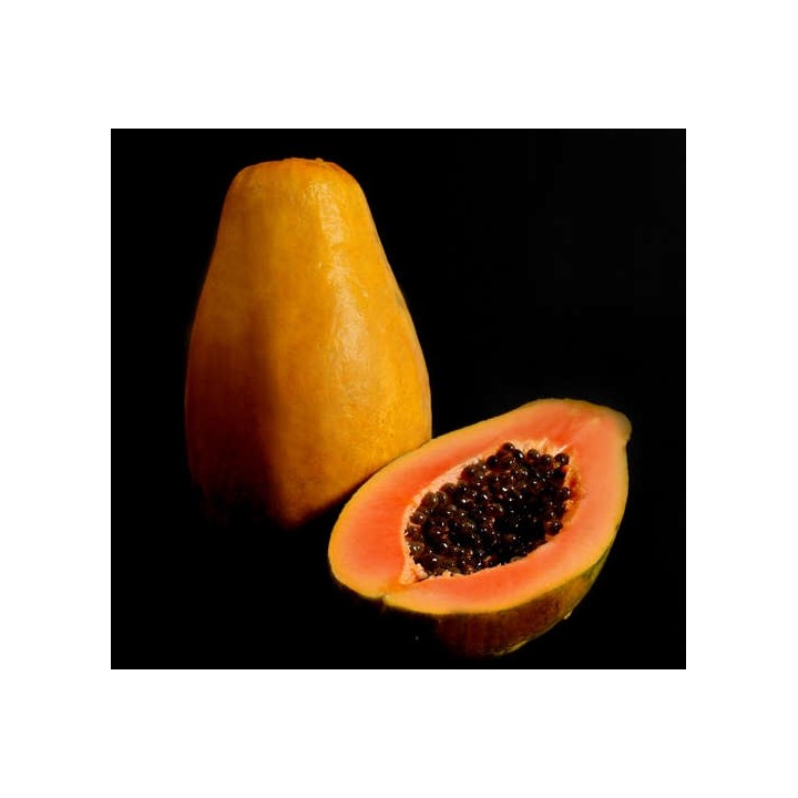 Papayer : Carica papaya var. Siluet (pulpe rouge)