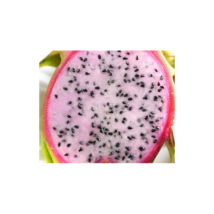 Pitaya : Hylocereus guatemalensis (Pitaya ou fruit du dragon)