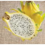 Pitaya : Hylocereus Isis golden jaune vif (Pitaya ou fruit du dragon)