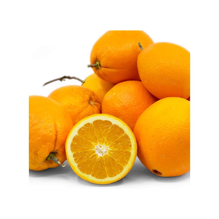 Citrus sinensis var.Navelate (orange la meilleure tout simplement))