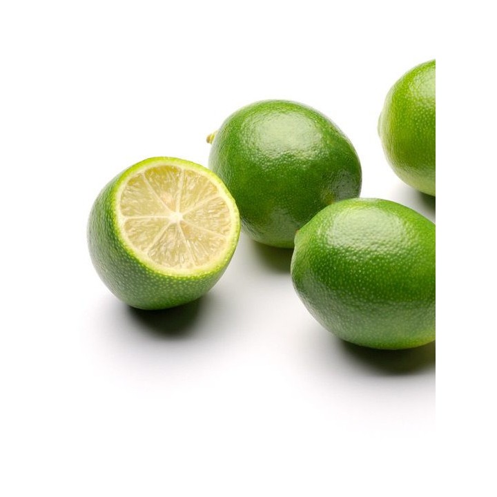 Citrus floridana (Hybride entre citron vert et kumquat)