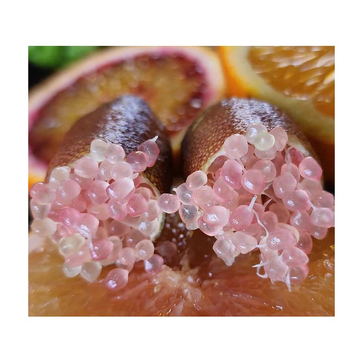Microcitrus australasica pulpe rose (Caviar de citron)