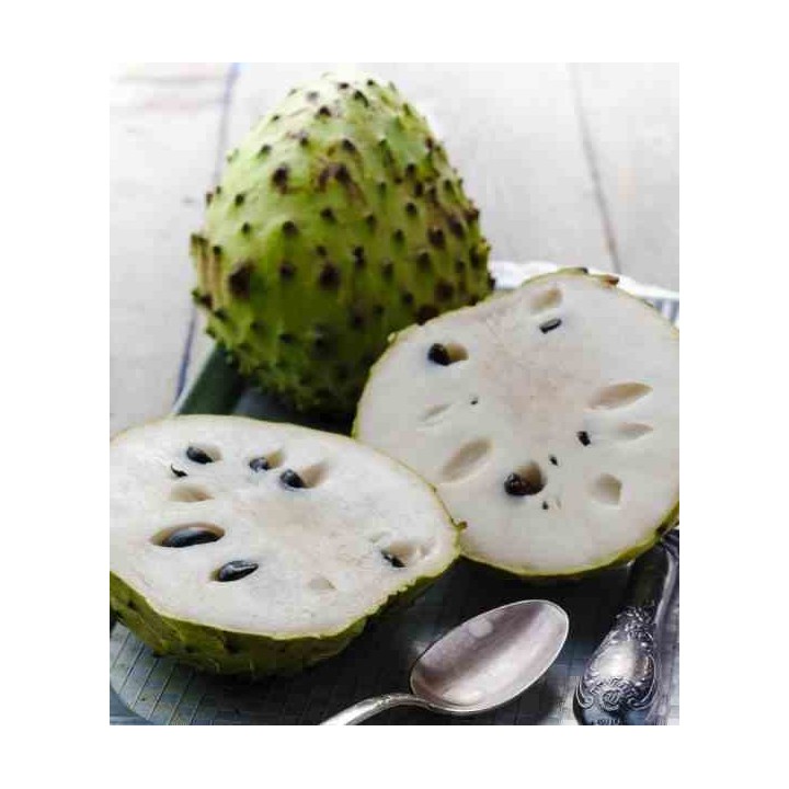 Annona cherimola (Chérimoye)