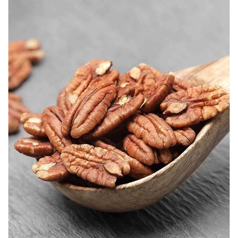 Carya illinoinensis (noix de noix de pécan, pacanier)