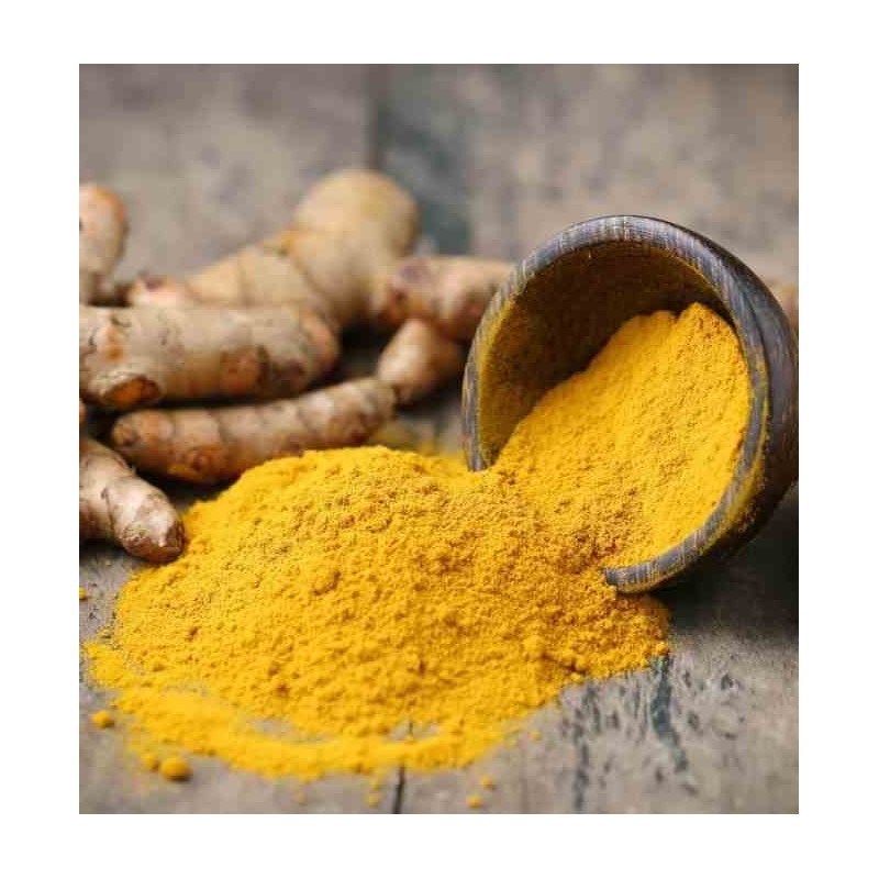 Curcuma longa curcuma