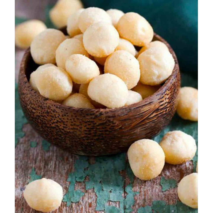 Macadamia ternifolia