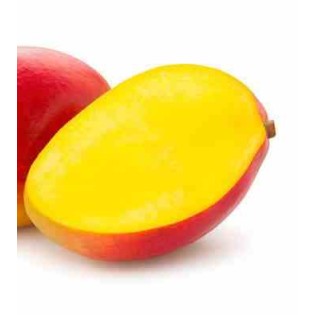 Manguier : Mangifera indica var.Palmer