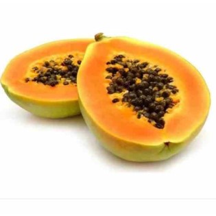 Papayer : Carica papaya var. Maradol