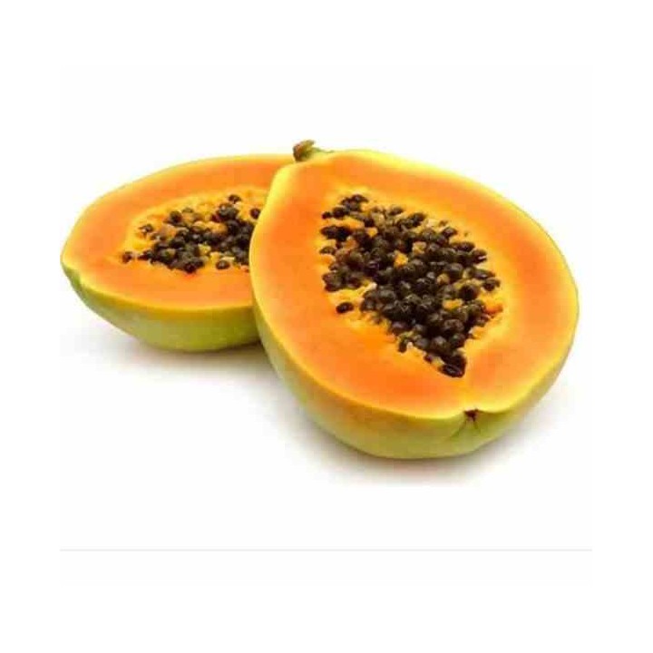 Papayer : Carica papaya var. Maradol