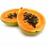 Papayer : Carica papaya var. Maradol