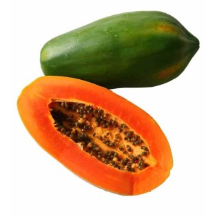 Papayer : Carica papaya var. Rouge Passion