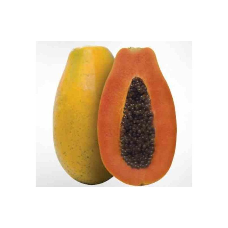 Papayer : Carica papaya var. Doux sens